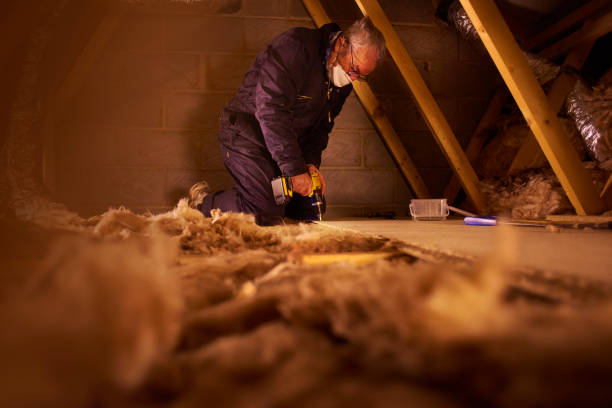 Best Specialized Insulation Services in St Stephens, NC
